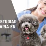 Dónde Estudiar Veterinaria en Perú